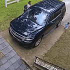 She must've been so scared