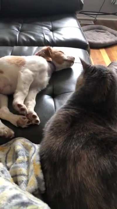 Good Morning... Here's your wake up slap