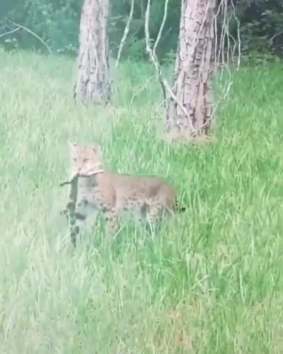 Just a normal day in Florida