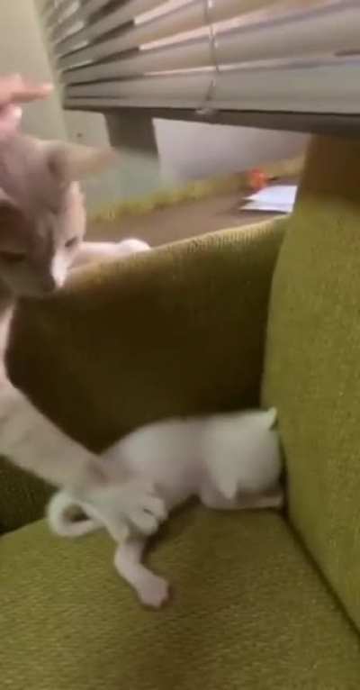 to stay awake
