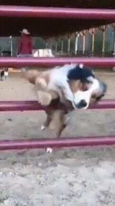 This perfect jump