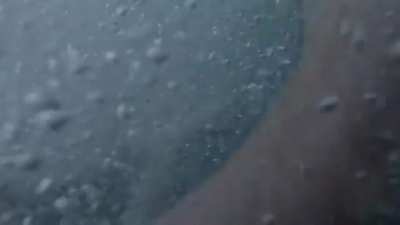 Cliff jump into Sydney harbour