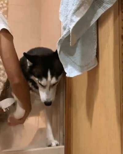 Wait for the face