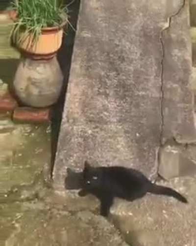 HMC while i slide