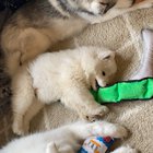 Happy little nugget between big sisters ?