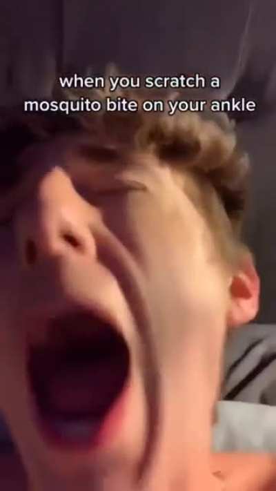 I have no words