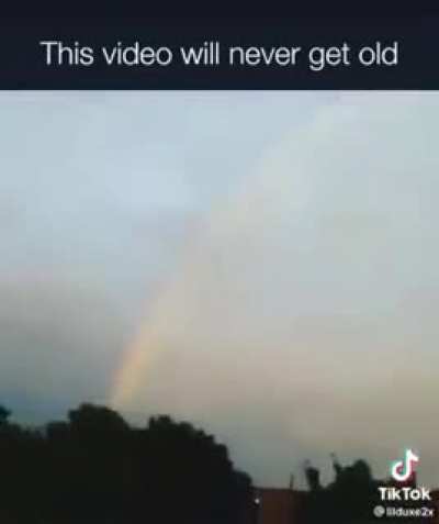 rainbow niguh