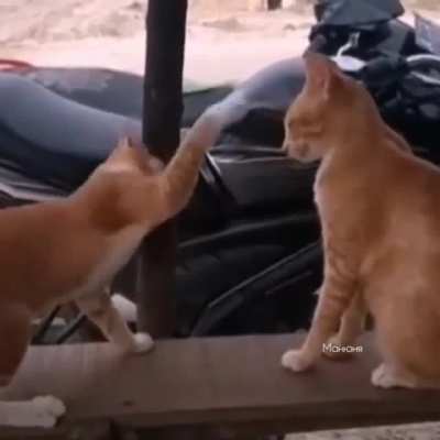 Don't touch me ???