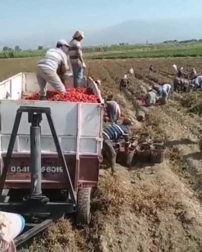 Work smarter! Not harder!