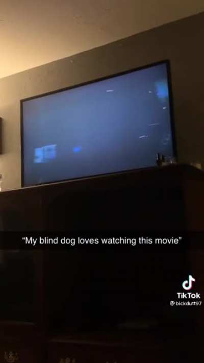 He just loves interstellar