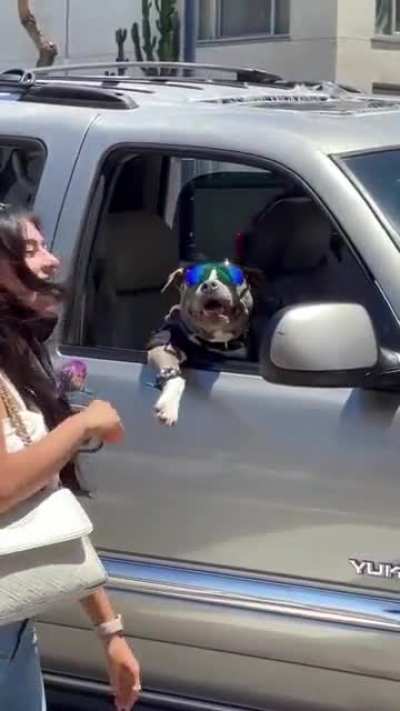 Snoop Paws ?
