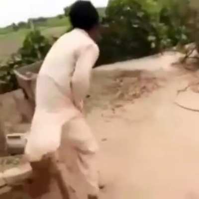 Idiot bites a cow's tail