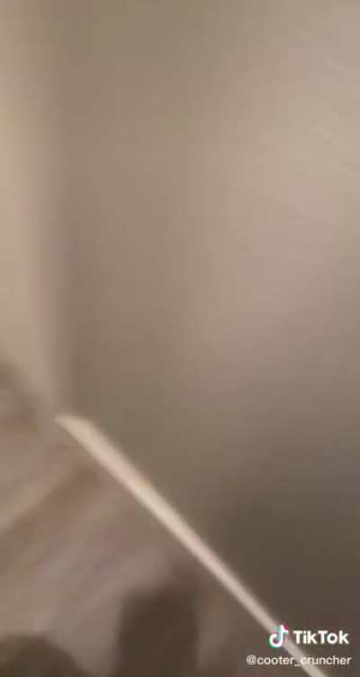 Bidet