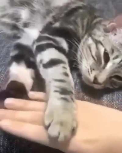 No .. don't go away