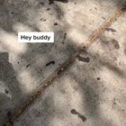He just needed a little help!