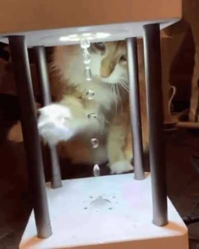 Not sure if it's been posted, but the water appears to levitate due to a strobe light out of sync with the dripping water