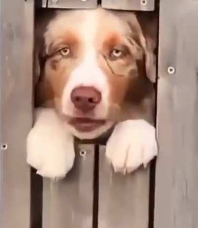 You spin me right 'round, baby