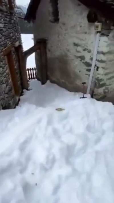 Homemade beer delivery system to keep the neighbor happy