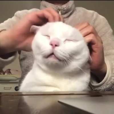 Aww ?