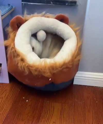 Maybe maybe maybe