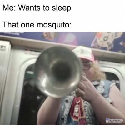 It’s always so loud