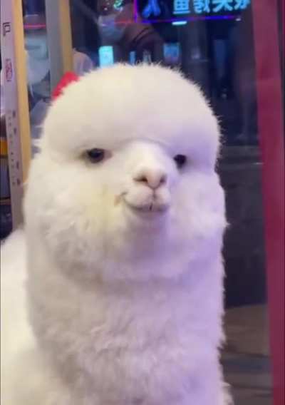 ?