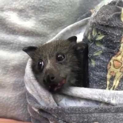 Aw