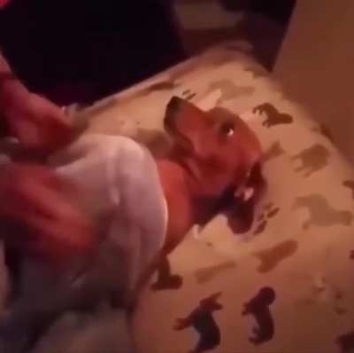 People: "Do you really let your dog sleep in the bed with you??" Me: