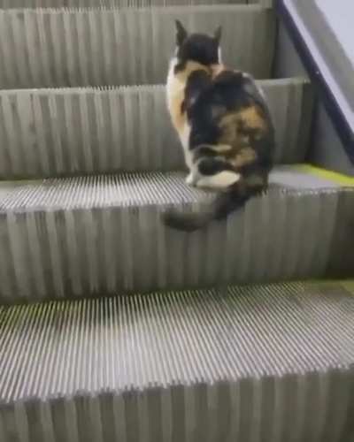 Escalator etiquette