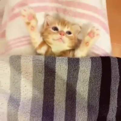 So smol ?