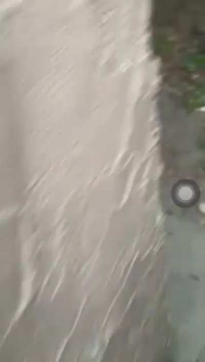 Wtf