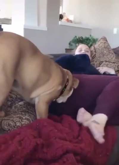 When sniffing goes wrong!