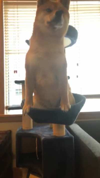 There is no god up here but me
