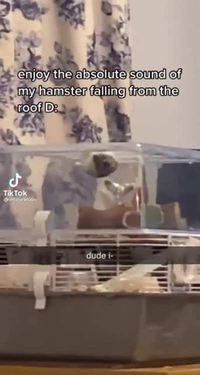 Poor fren D: