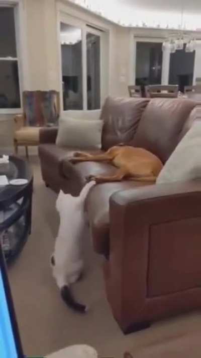 Who did that?