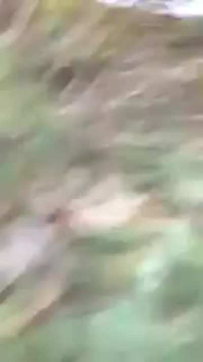 to skateboard a dead car down a hill.