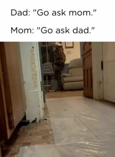 Ah, ye olde dad <--> mom game