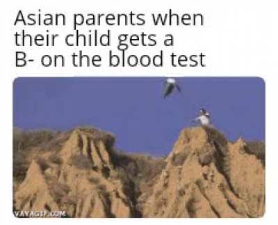 What a failure
