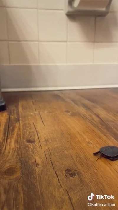 SwerveClips video kqKhJY8HQ5
