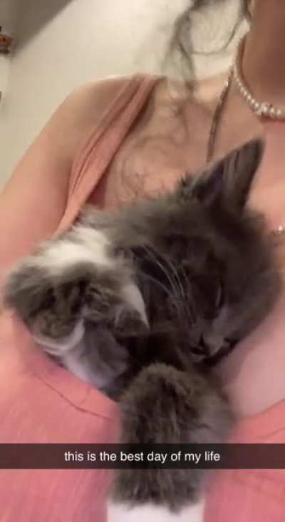 someone found himself a very cozy napping spot!