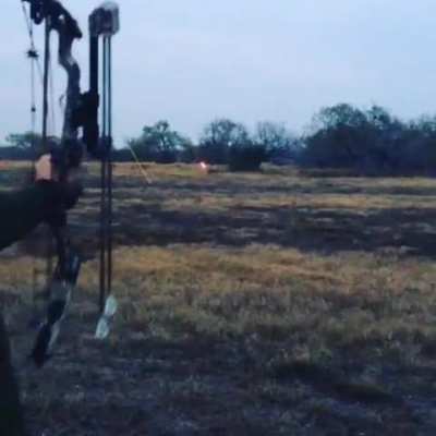 HMB While I Get Lucky