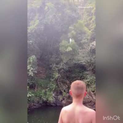 Wcgw trying to grab a tree