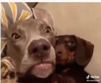 When you wake up and you don’t remember what happened last night