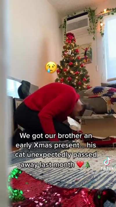 Bamboozled