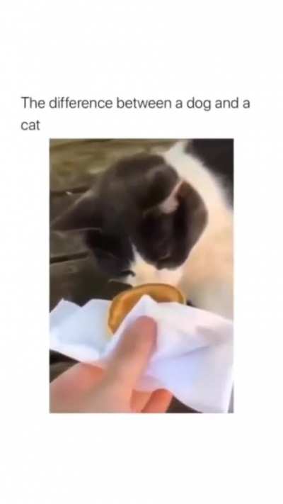 0 hesitation