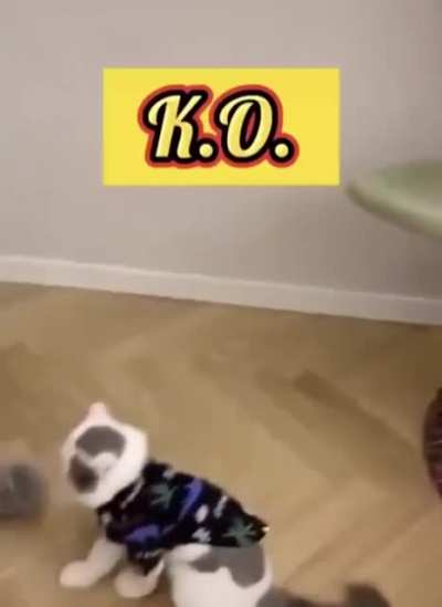 Didn't expect that