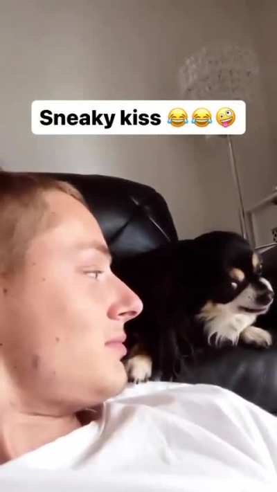I love u hooman ??
