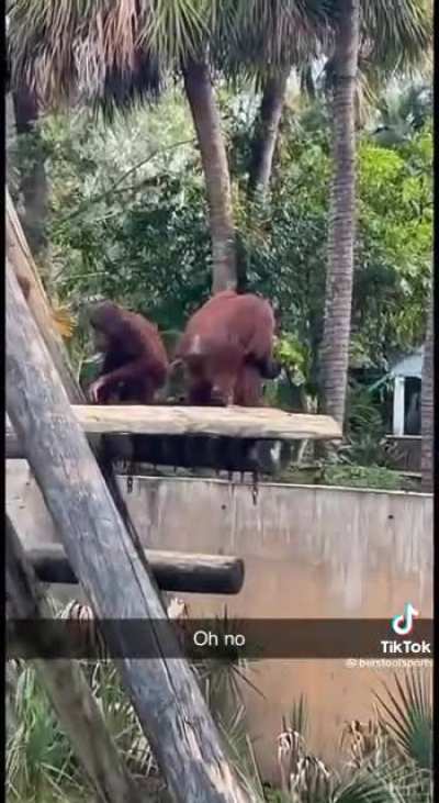 Just for some salad