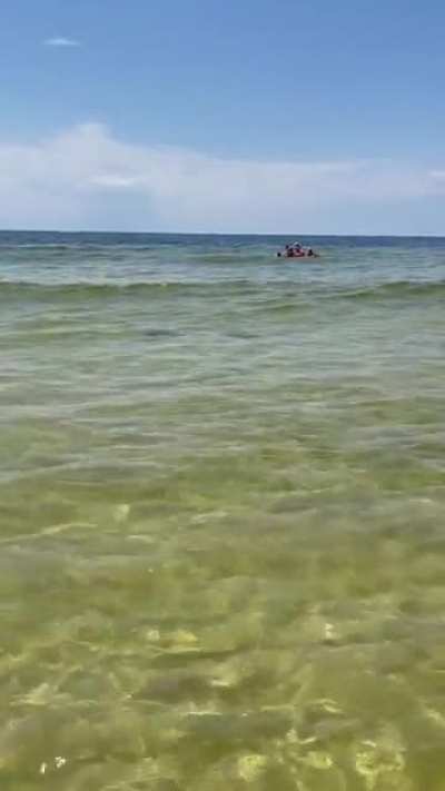 ? Devil Rays I saw at the Beach in Florida ?