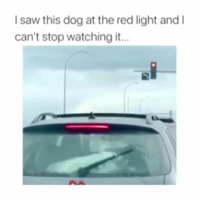 I love the Focus
